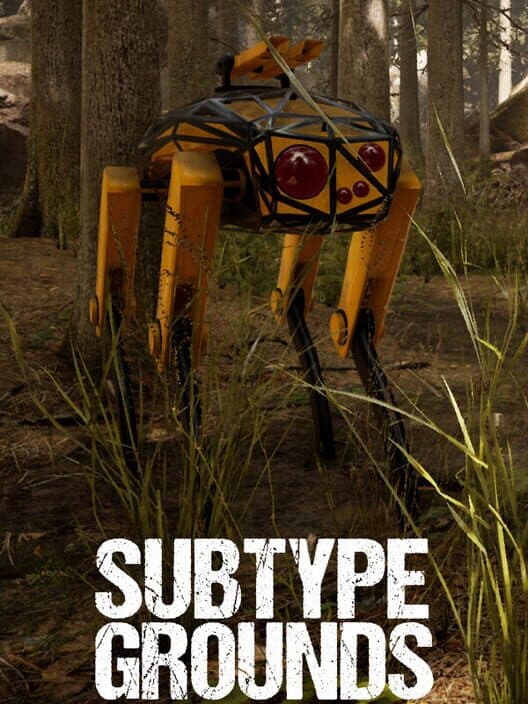 Обложка Subtype Grounds