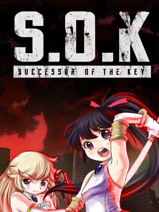 Обложка Successor of the Key