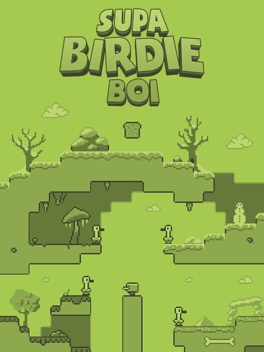 Обложка Supa Birdie Boi