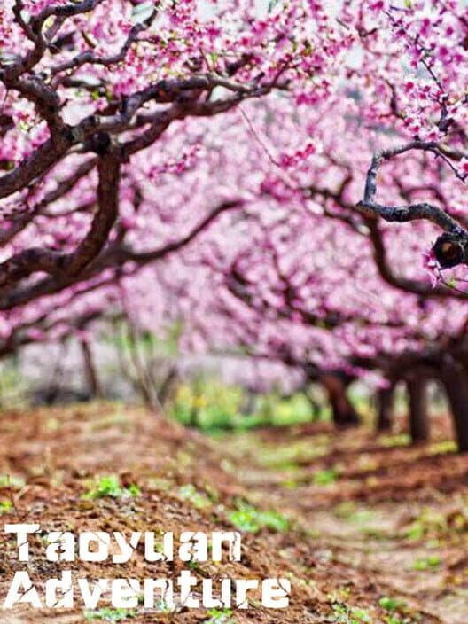 Обложка Taoyuan Adventure
