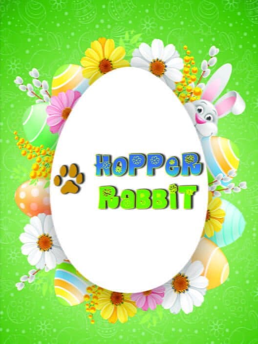 Обложка Hopper Rabbit