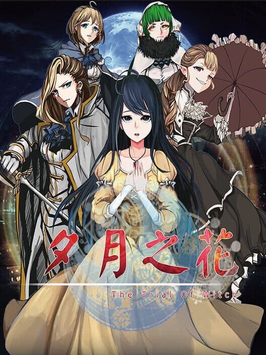 Обложка The trial of witch