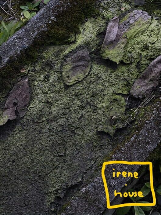 Обложка Irene.House