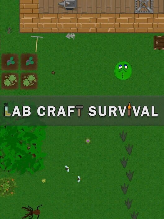 Обложка Lab Craft Survival