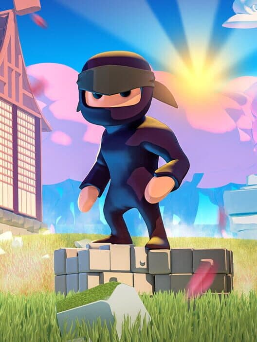 Обложка Mad Dojo