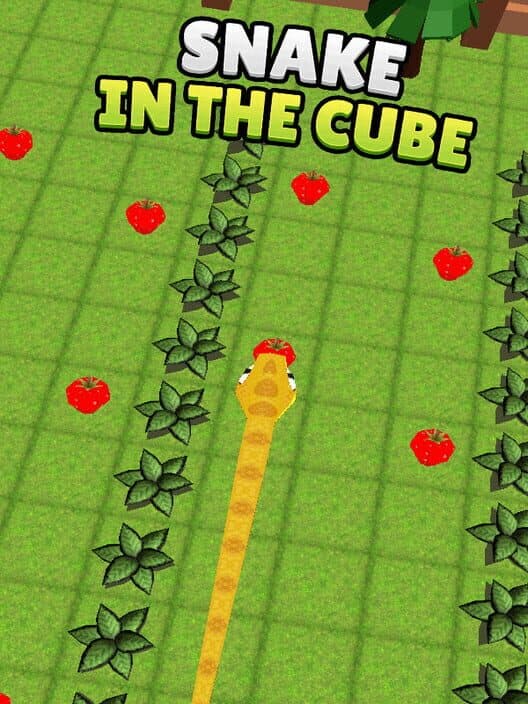 Обложка Snake in the Cube