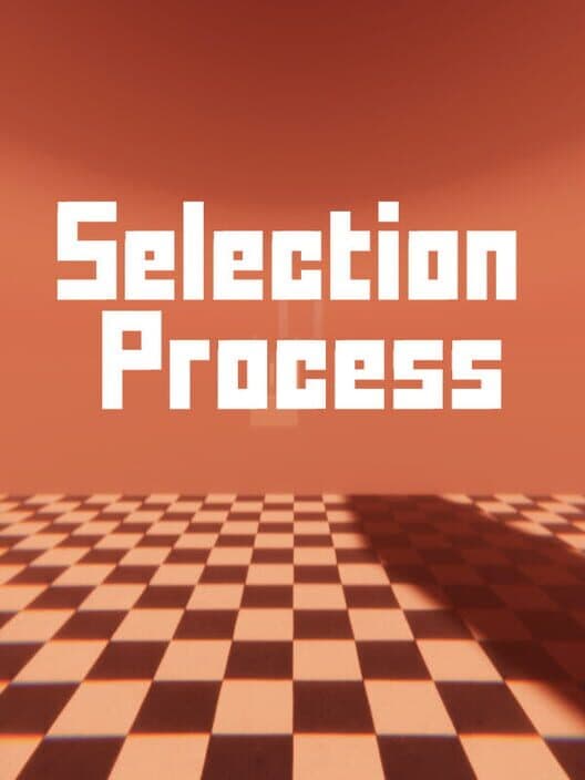 Обложка Selection Process