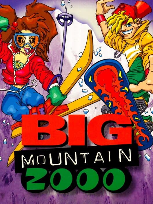 Обложка Big Mountain 2000