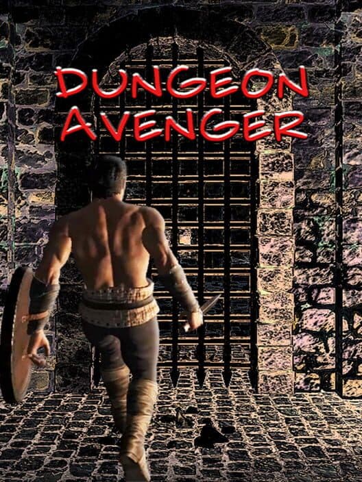 Обложка Dungeon Avenger