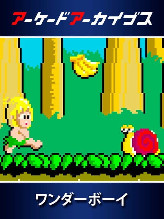 Обложка Arcade Archives: Wonder Boy