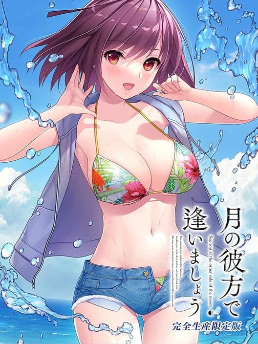 Обложка Tsuki no Kanata de Aimashou: Complete Limited Edition