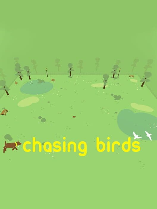 Обложка Chasing Birds
