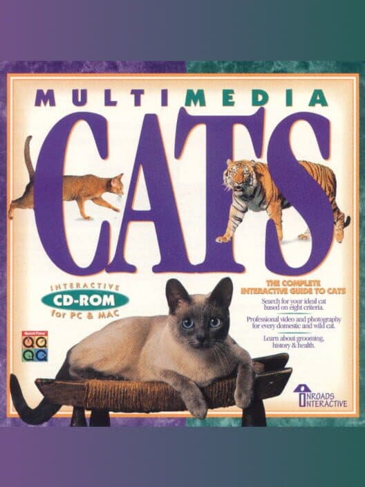 Обложка Multimedia Cats