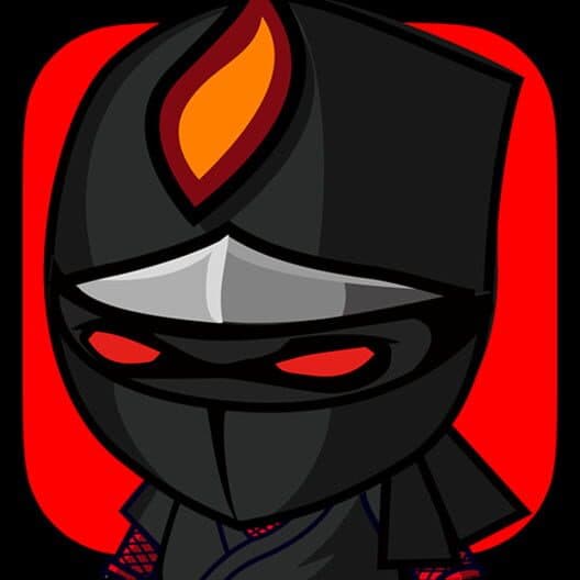 Обложка Ninjas: Stolen Scrolls