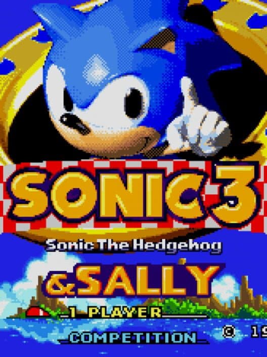 Обложка Sonic 3 & Sally Acorn