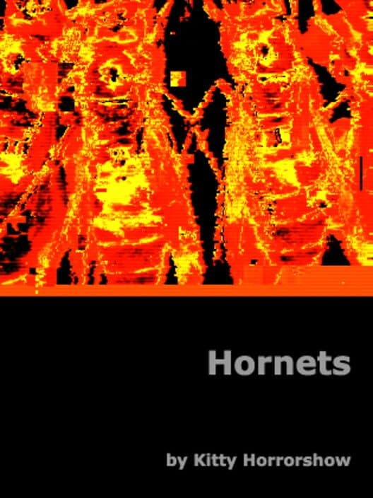 Обложка Hornets