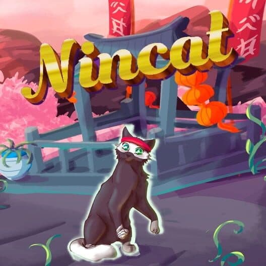 Обложка NinCat