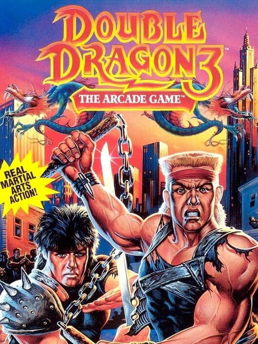 Обложка Double Dragon 3: The Arcade Game