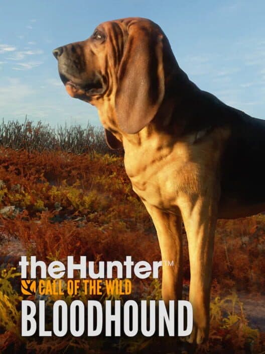 Обложка TheHunter: Call of the Wild - Bloodhound