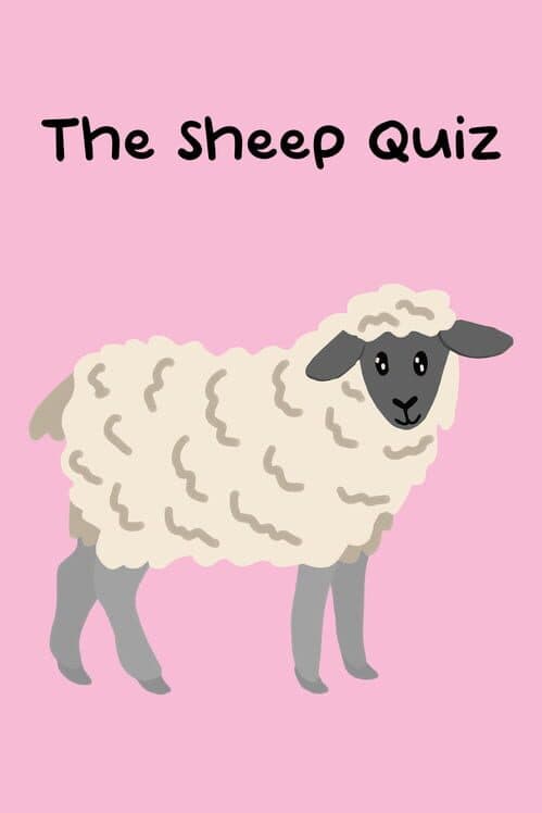 Обложка The Sheep Quiz