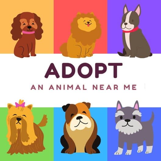 Обложка Adopt an Animal Near Me