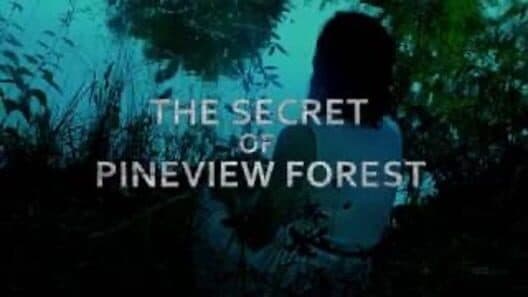 Обложка The Secret of Pineview Forest