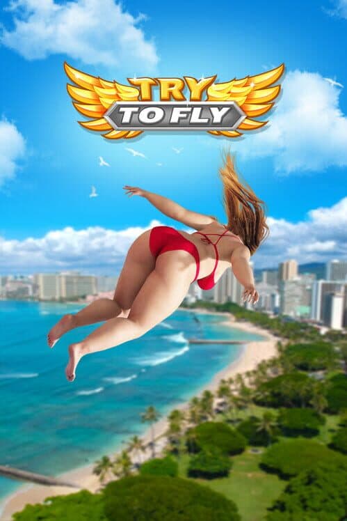 Обложка Try to Fly