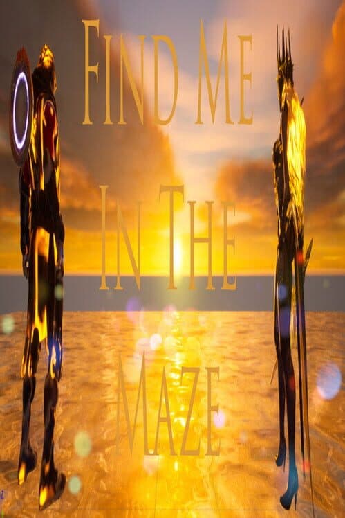 Обложка Find Me in the Maze