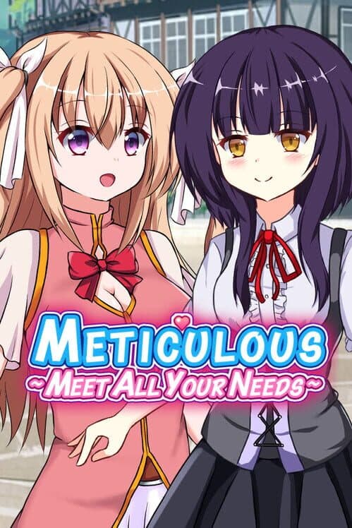 Обложка Meticulous: Meet All Your Needs