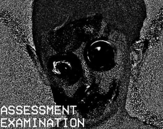 Обложка Assessment Examination
