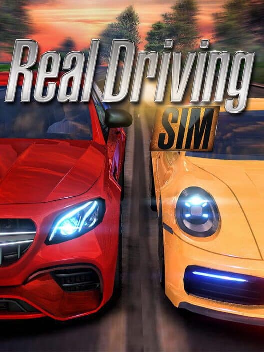 Обложка Real Driving Sim