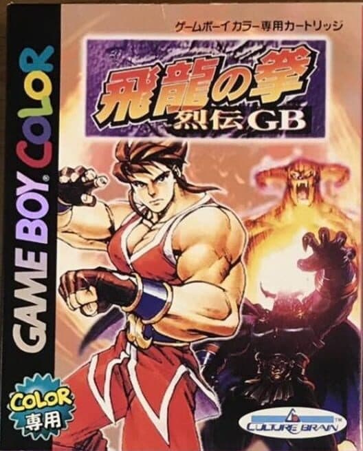 Обложка Hiryuu no Ken Retsuden GB