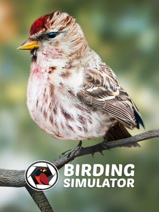 Обложка Birding Simulator