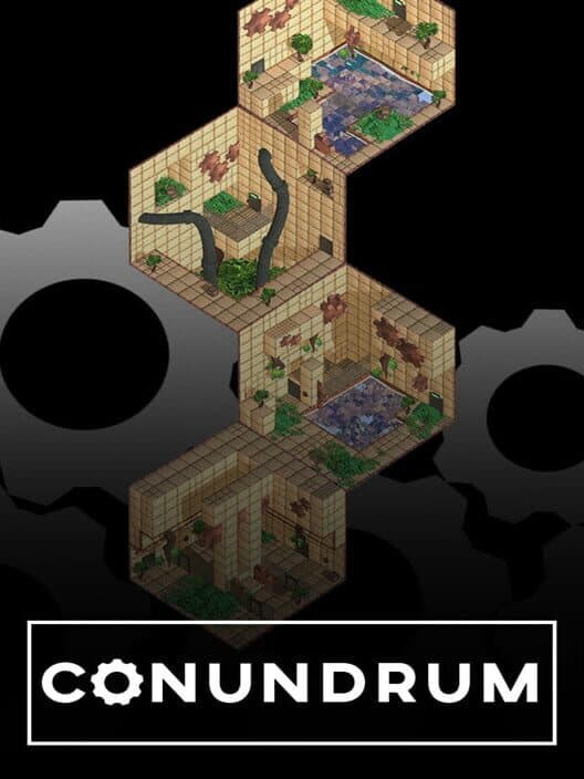 Обложка Conundrum