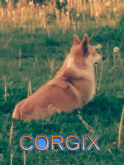Обложка Corgix