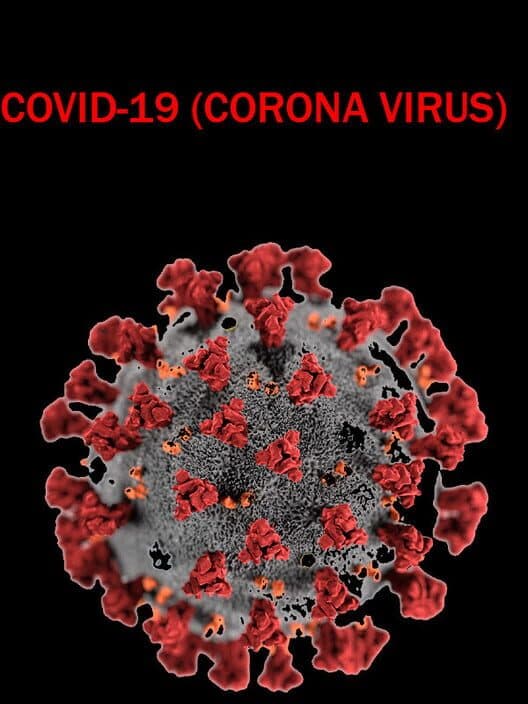 Обложка Covid-19 (Corona Virus)