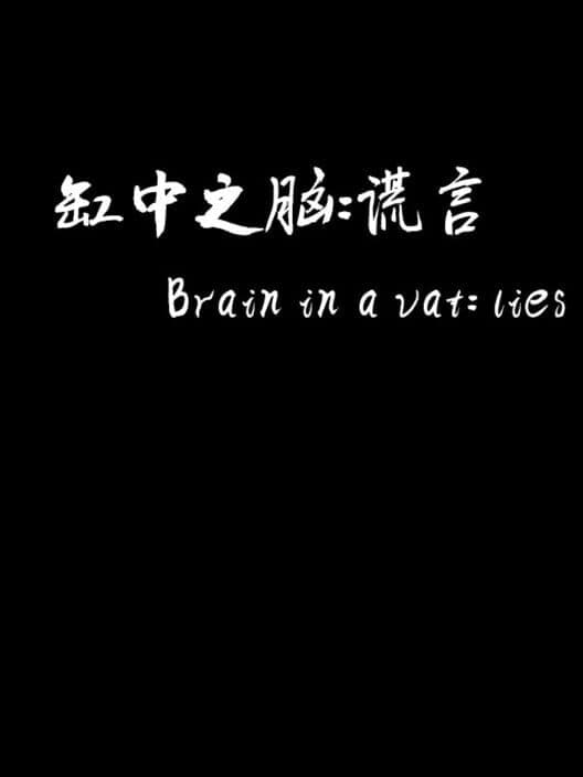 Обложка Brain in a Vat Lies