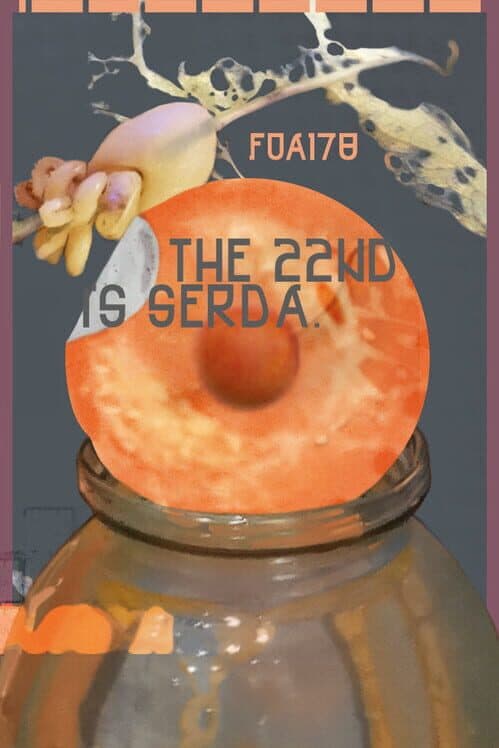 Обложка The 22nd is Serda. F0a178