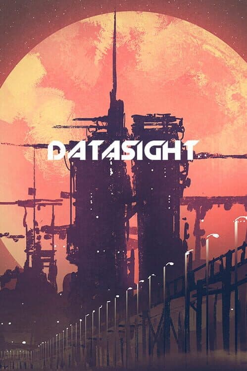 Обложка Datasight
