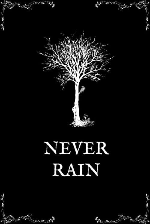 Обложка Never Rain