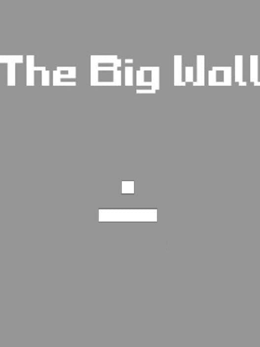 Обложка The Big Wall