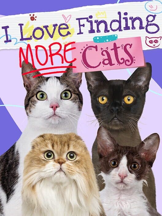 Обложка I Love Finding More Cats