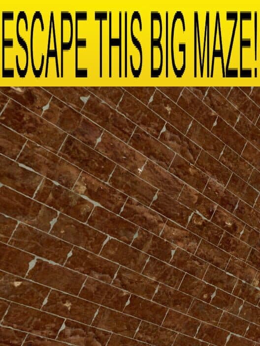 Обложка Escape This Big Maze!