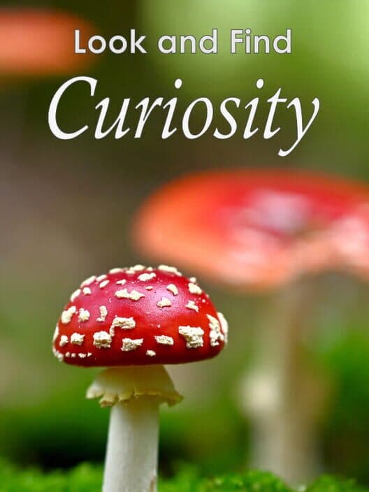 Обложка Look and Find: Curiosity