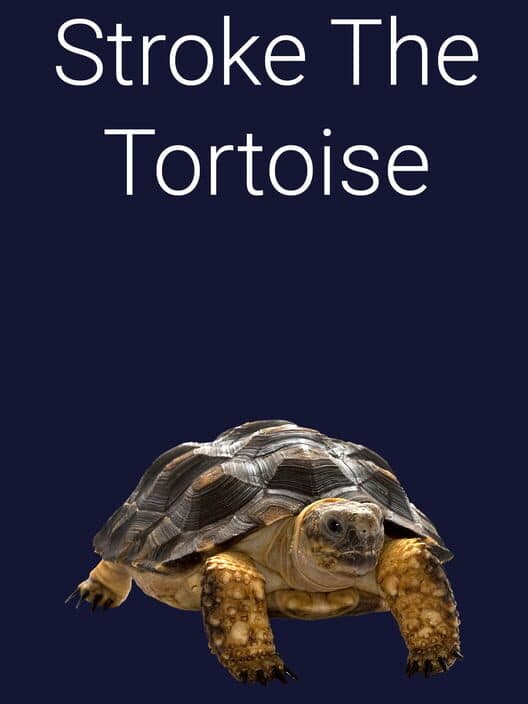 Обложка Stroke the Tortoise