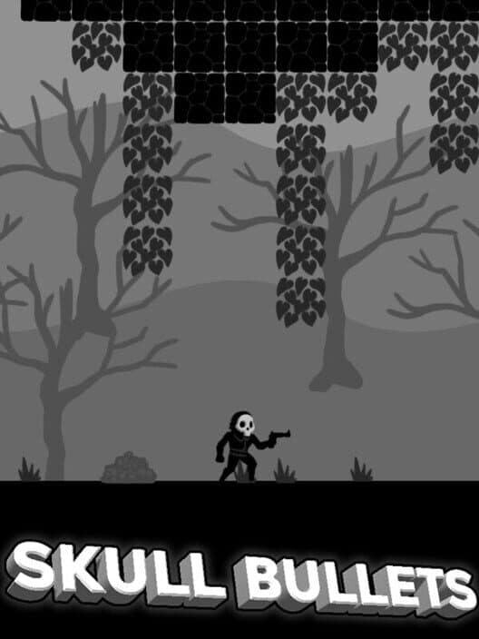 Обложка Skull Bullets