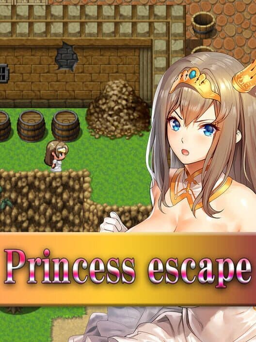 Обложка Princess escape