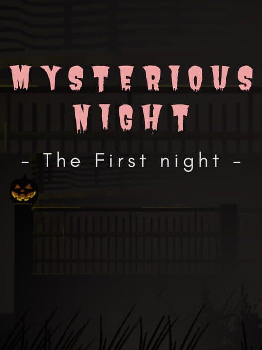 Обложка Mysterious Night: The First Night