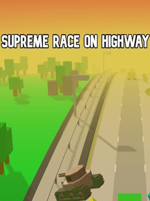 Обложка Supreme Race on Highway