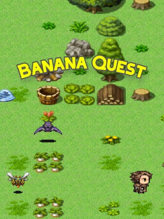 Обложка Banana Quest